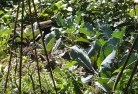 Cudgera Creekorganic-gardening-3.jpg; ?>