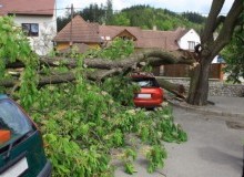 Kwikfynd Tree Cutting Services
cudgeracreek