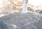 Cudgera Creektree-transplanting-4.jpg; ?>